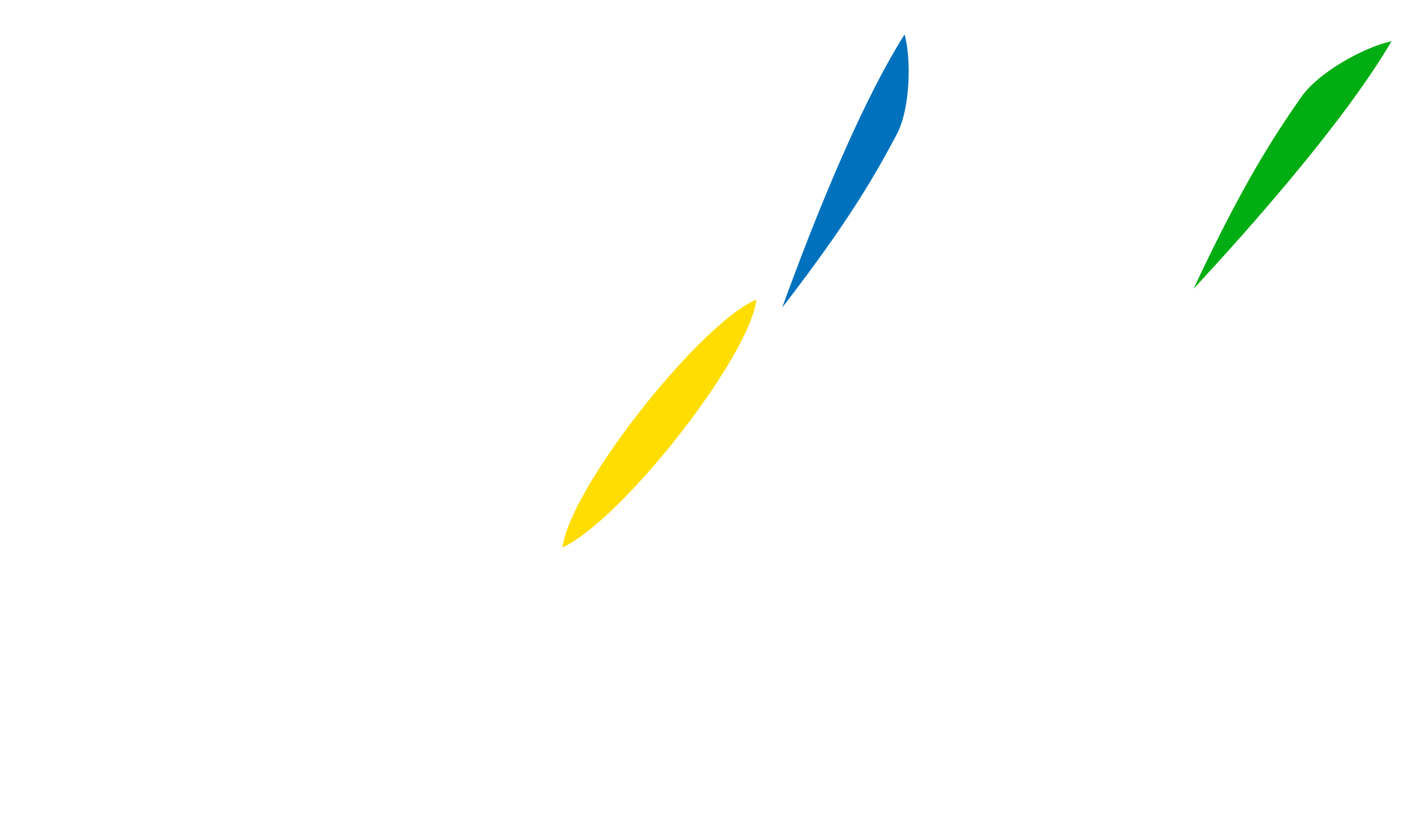 NDL Investments Logo